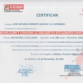 Acercar imagen: certificate 7