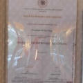 Acercar imagen: certificate 6