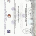Acercar imagen: certificate 81