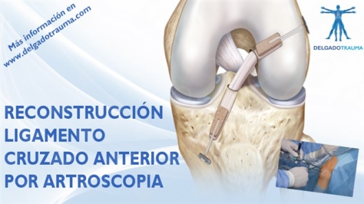 Eduardo J. Delgado Torné-4