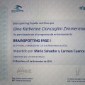 Acercar imagen: certificate 10