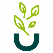 Nut and Health Nutricionistas