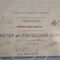 Acercar imagen: certificate 2