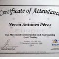 Acercar imagen: certificate 3