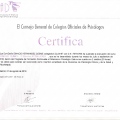 Acercar imagen: certificate 2