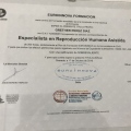 Acercar imagen: certificate 3
