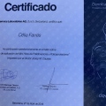 Acercar imagen: certificate 12
