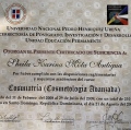 Acercar imagen: certificate 5