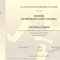 Acercar imagen: certificate 2