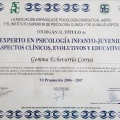Acercar imagen: certificate 3