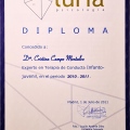 Acercar imagen: certificate 13