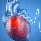 Acercar imagen: José Maria Vernís Vergés, Cardiólogo Reus