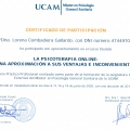 Acercar imagen: certificate 7