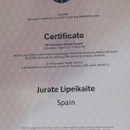 Acercar imagen: certificate 21