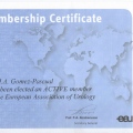 Acercar imagen: certificate 5