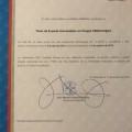 Acercar imagen: certificate 3