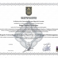 Acercar imagen: certificate 8