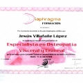 Acercar imagen: certificate 17