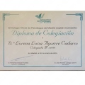 Acercar imagen: certificate 12