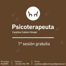 Acercar imagen: Carolina Cobián Hinojar, Psicólogo Madrid