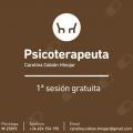 Carolina Cobián Hinojar, Psicólogo Madrid