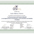 Acercar imagen: certificate 3