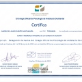 Acercar imagen: certificate 4