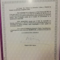 Acercar imagen: certificate 9