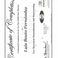 Acercar imagen: certificate 9