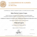 Acercar imagen: certificate 2