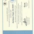 Acercar imagen: certificate 22