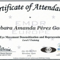 Acercar imagen: certificate 5