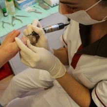 Acercar imagen: Cristina Escudero Pérez, Podólogo Valencia