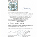 Acercar imagen: certificate 29