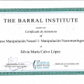 Acercar imagen: certificate 13