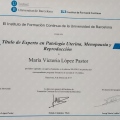 Acercar imagen: certificate 7