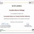 Acercar imagen: certificate 7