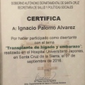 Acercar imagen: certificate 5
