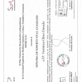 Acercar imagen: certificate 9