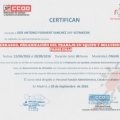Acercar imagen: certificate 9