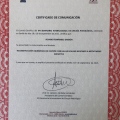Acercar imagen: certificate 2
