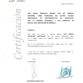 Acercar imagen: certificate 16