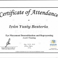Acercar imagen: certificate 1