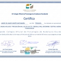 Acercar imagen: certificate 8