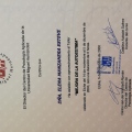 Acercar imagen: certificate 11