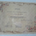 Acercar imagen: certificate 3