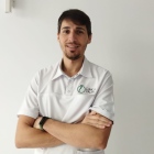  Matías J. Palma Segura