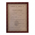 Acercar imagen: certificate 4