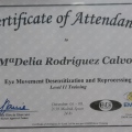 Acercar imagen: certificate 6