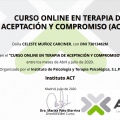 Acercar imagen: certificate 3
